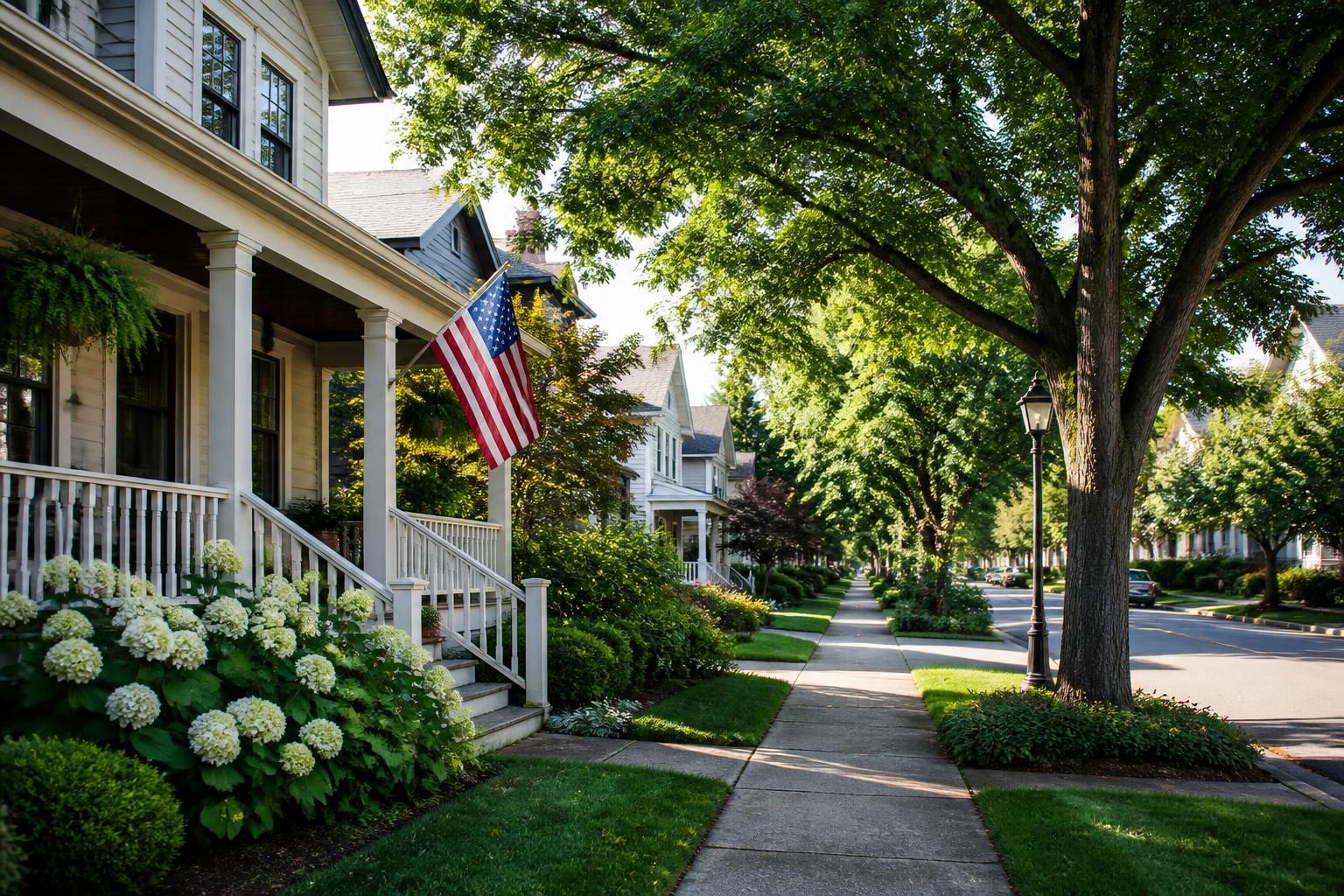 Classic homes and mature trees along a calm street